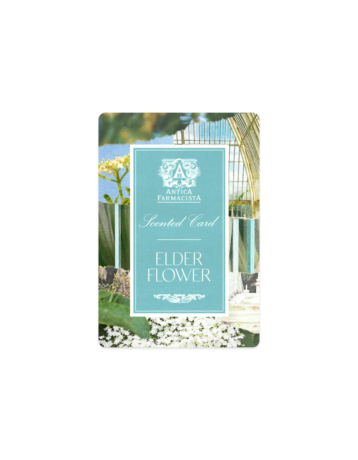 GWP - Scented Card - Elderflower