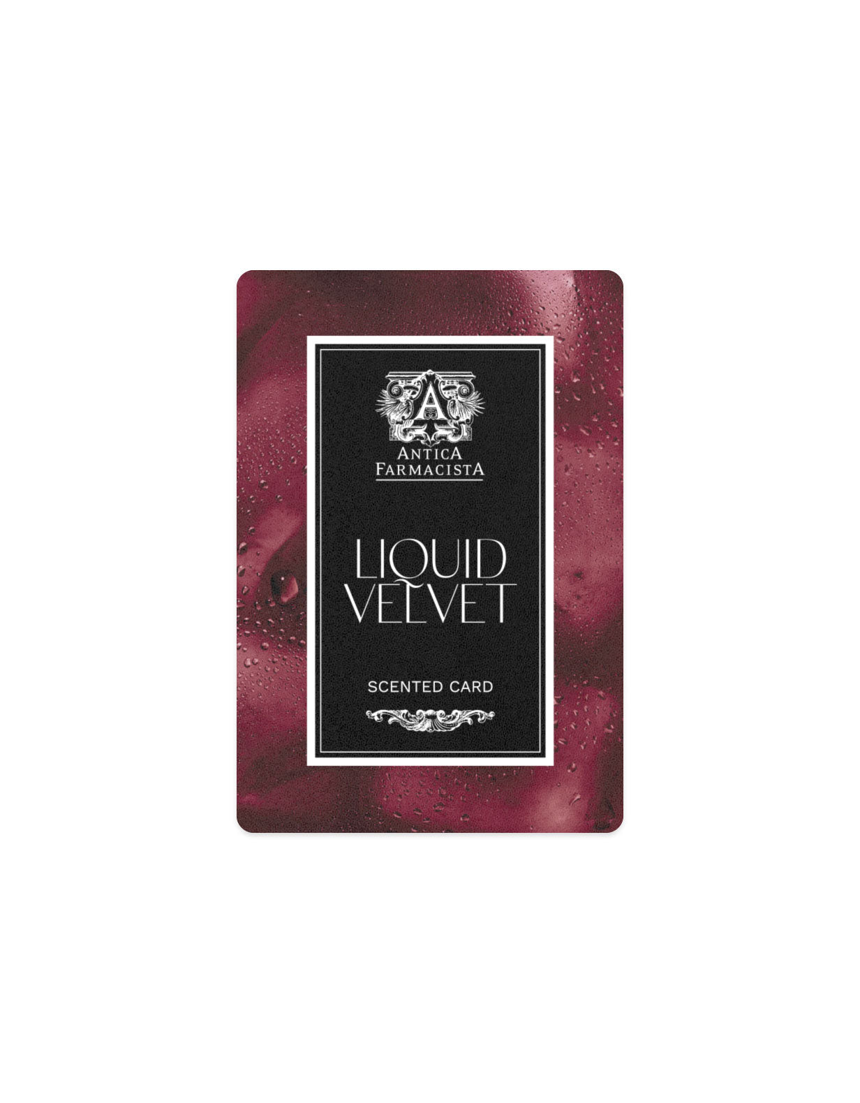 Complementary Scented Card - Liquid Velvet