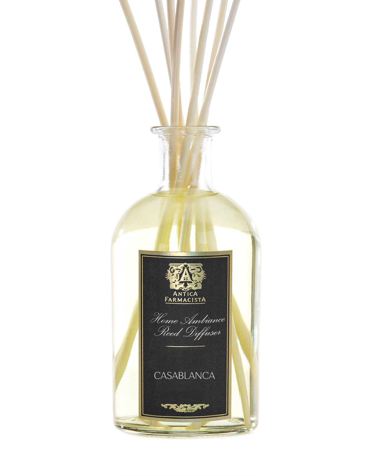 250ml Casablanca Reed Diffuser