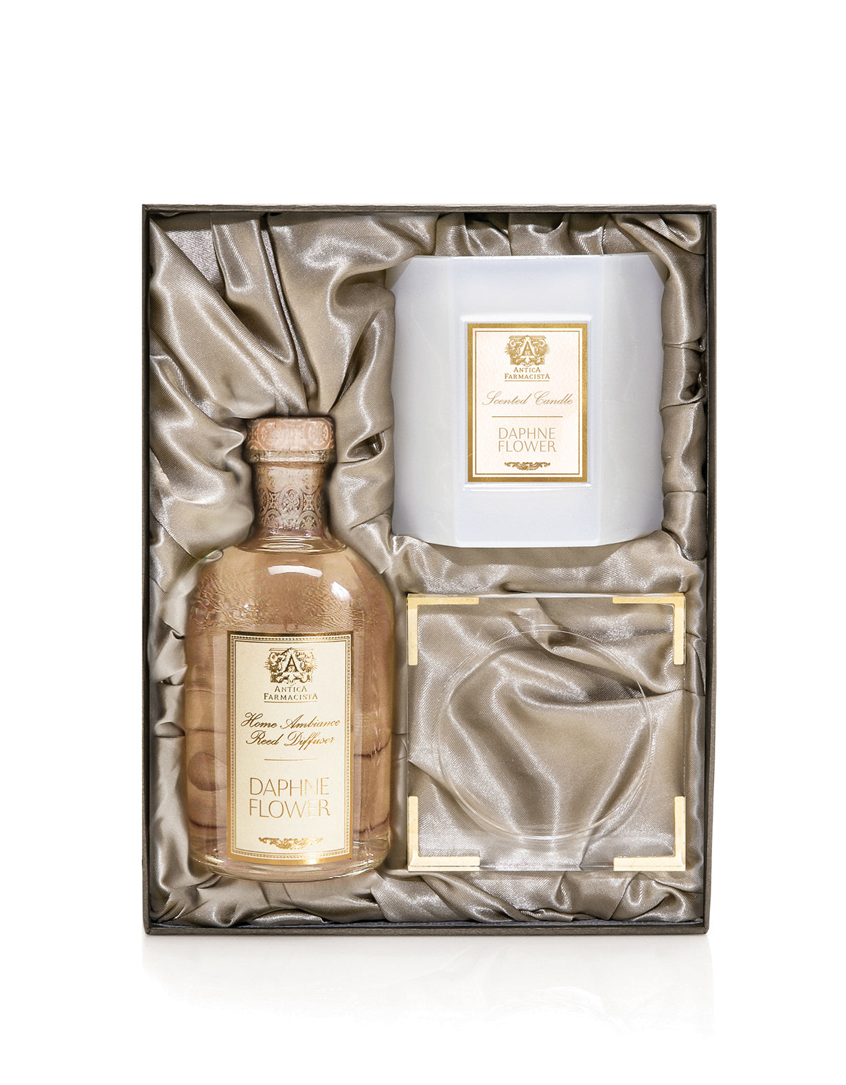 Acrylic Home Ambiance Gift Set: Daphne Flower