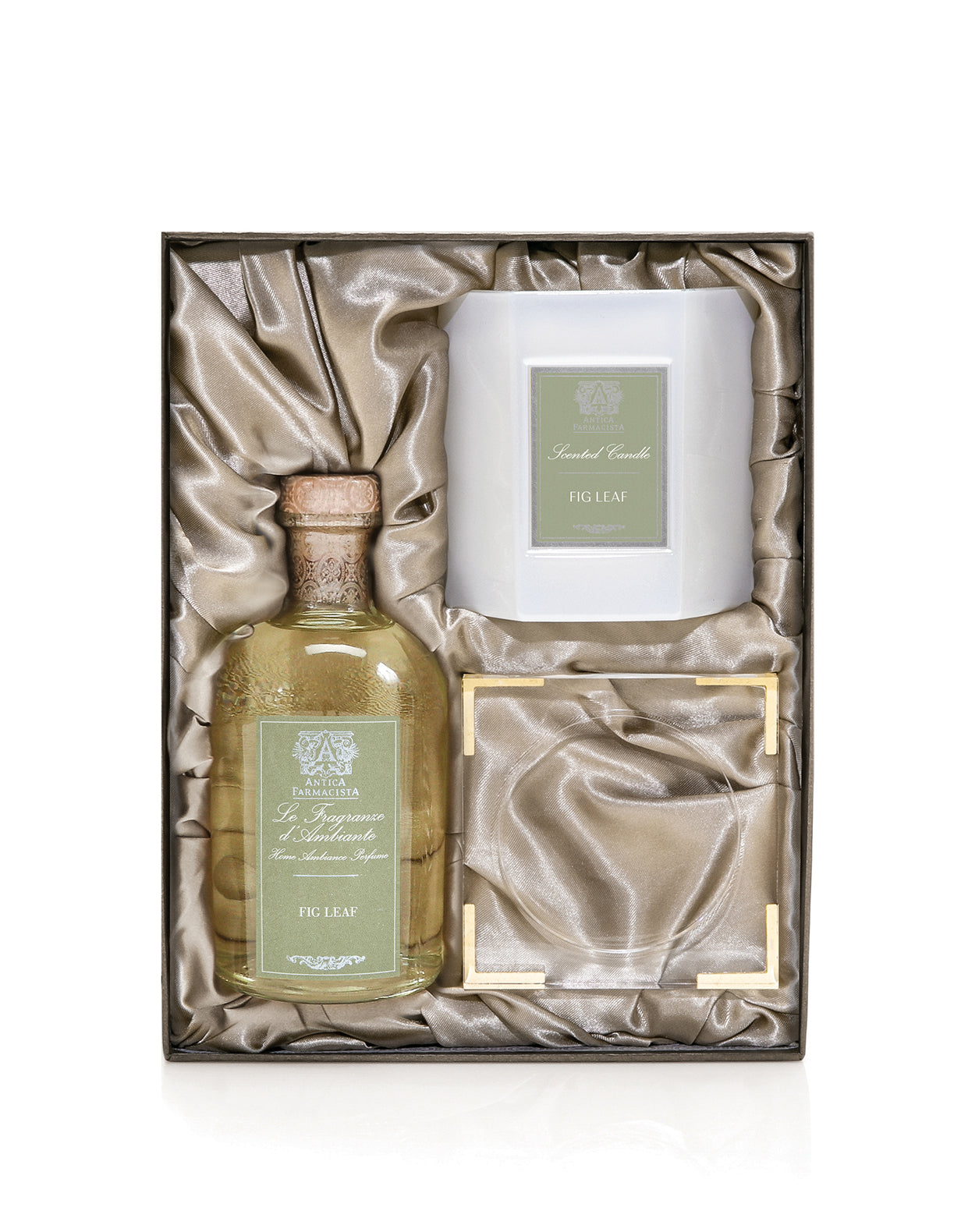 Acrylic Home Ambiance Gift Set: Fig Leaf