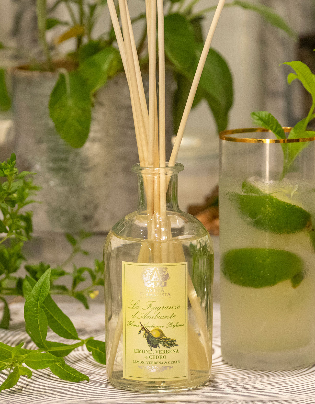 250ml Lemon, Verbena & Cedar Reed Diffuser