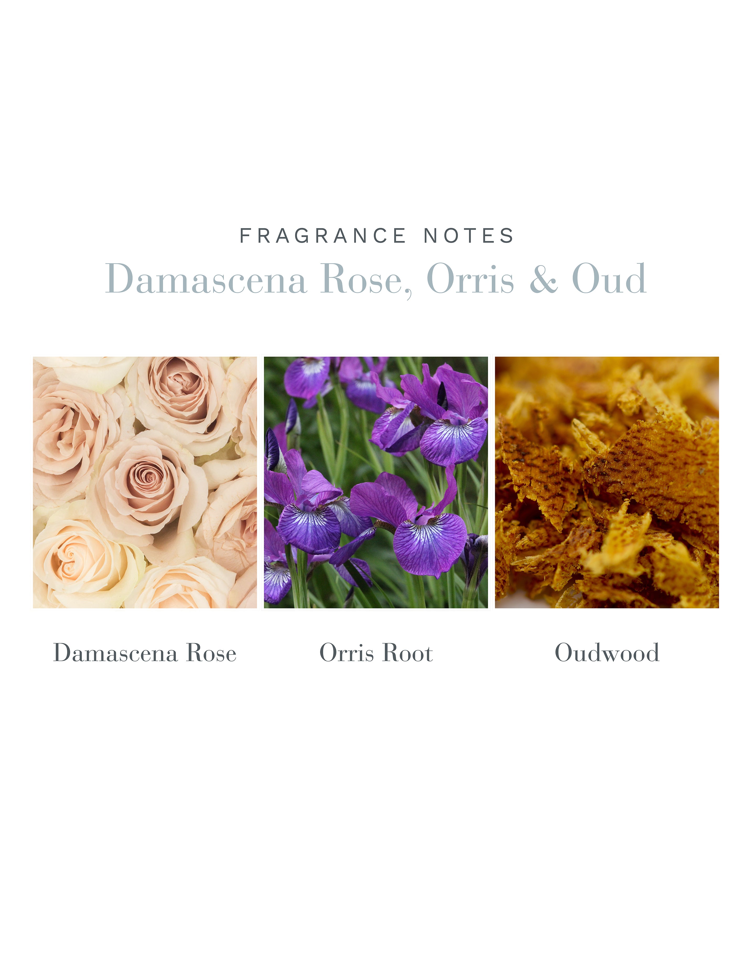 Damascena Rose, Orris & Oud Room Spray