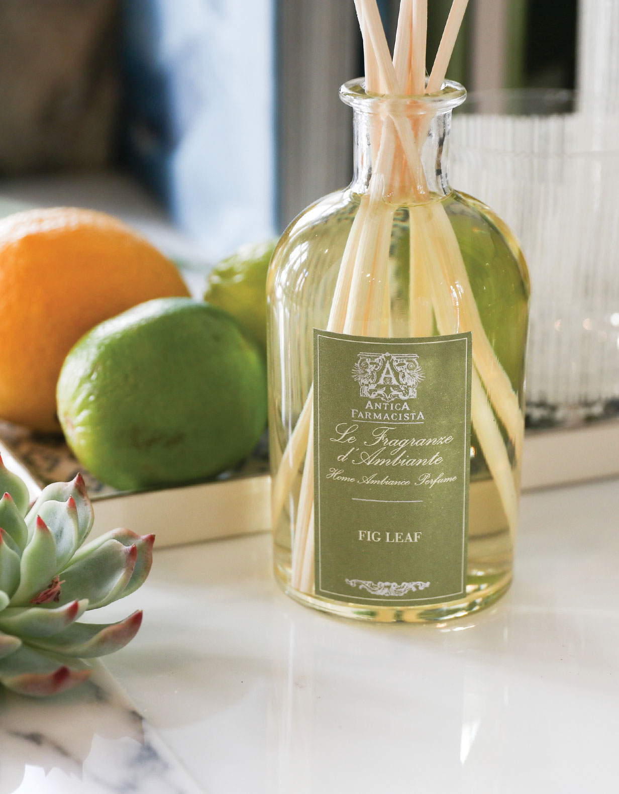 250ml Fig Leaf Reed Diffuser