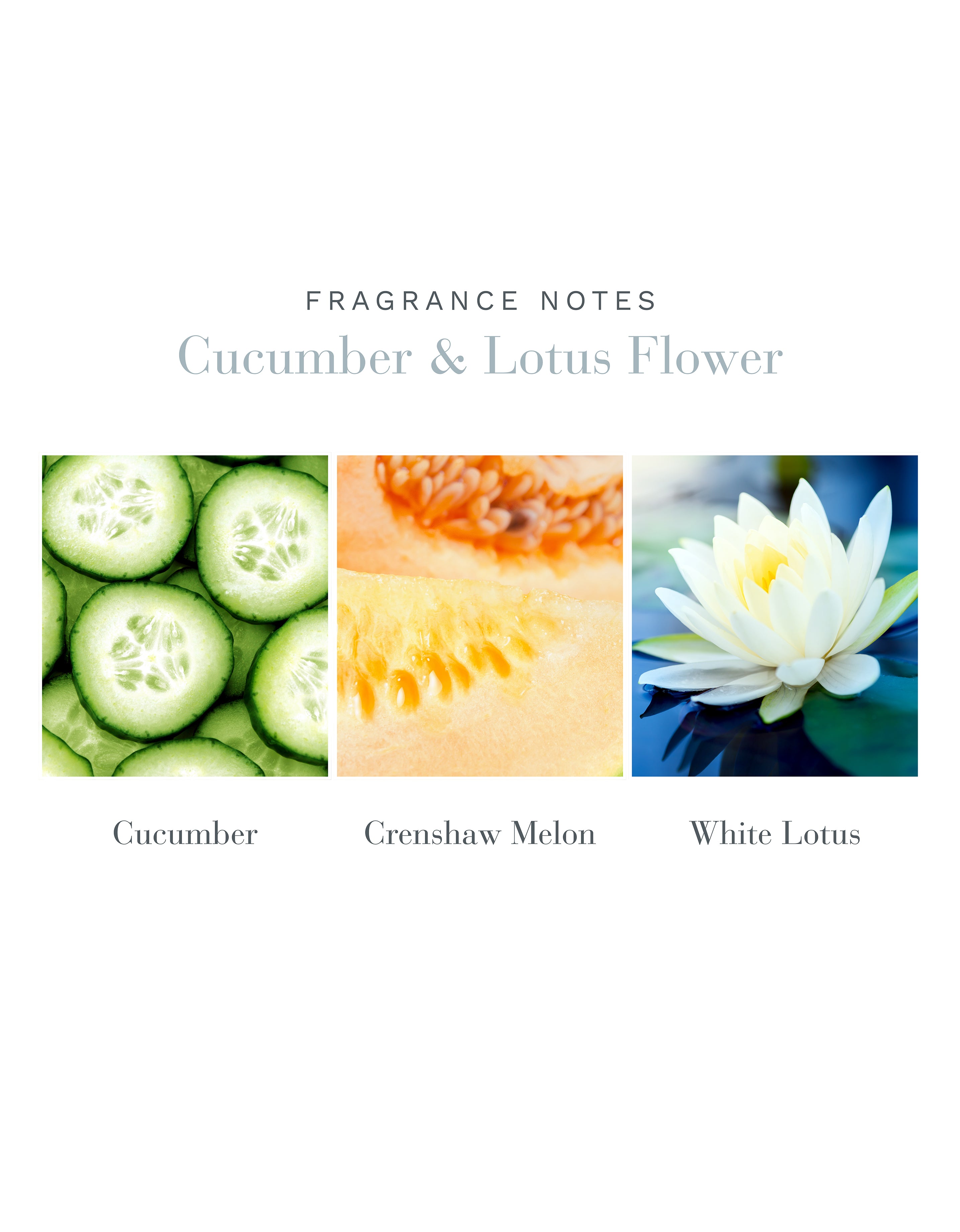 500ml Cucumber & Lotus Flower Reed Diffuser