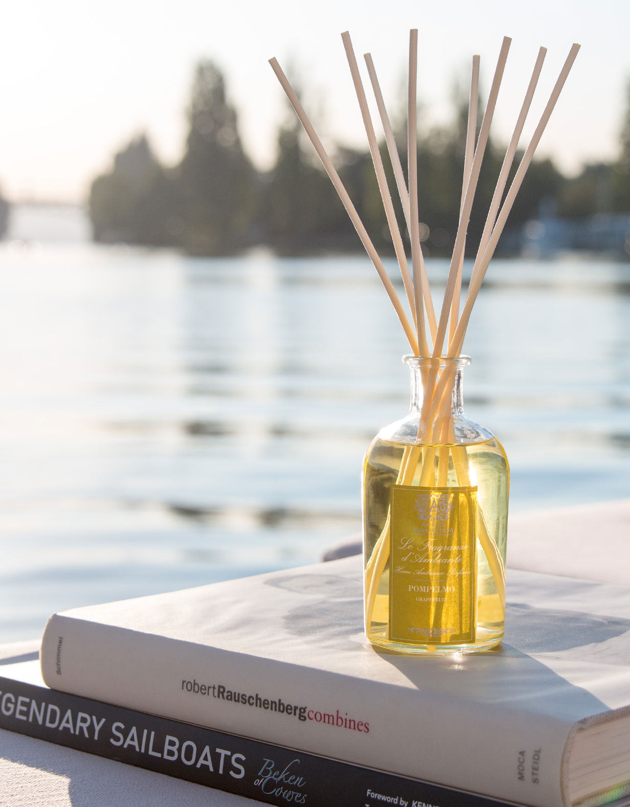 500ml Grapefruit Reed Diffuser