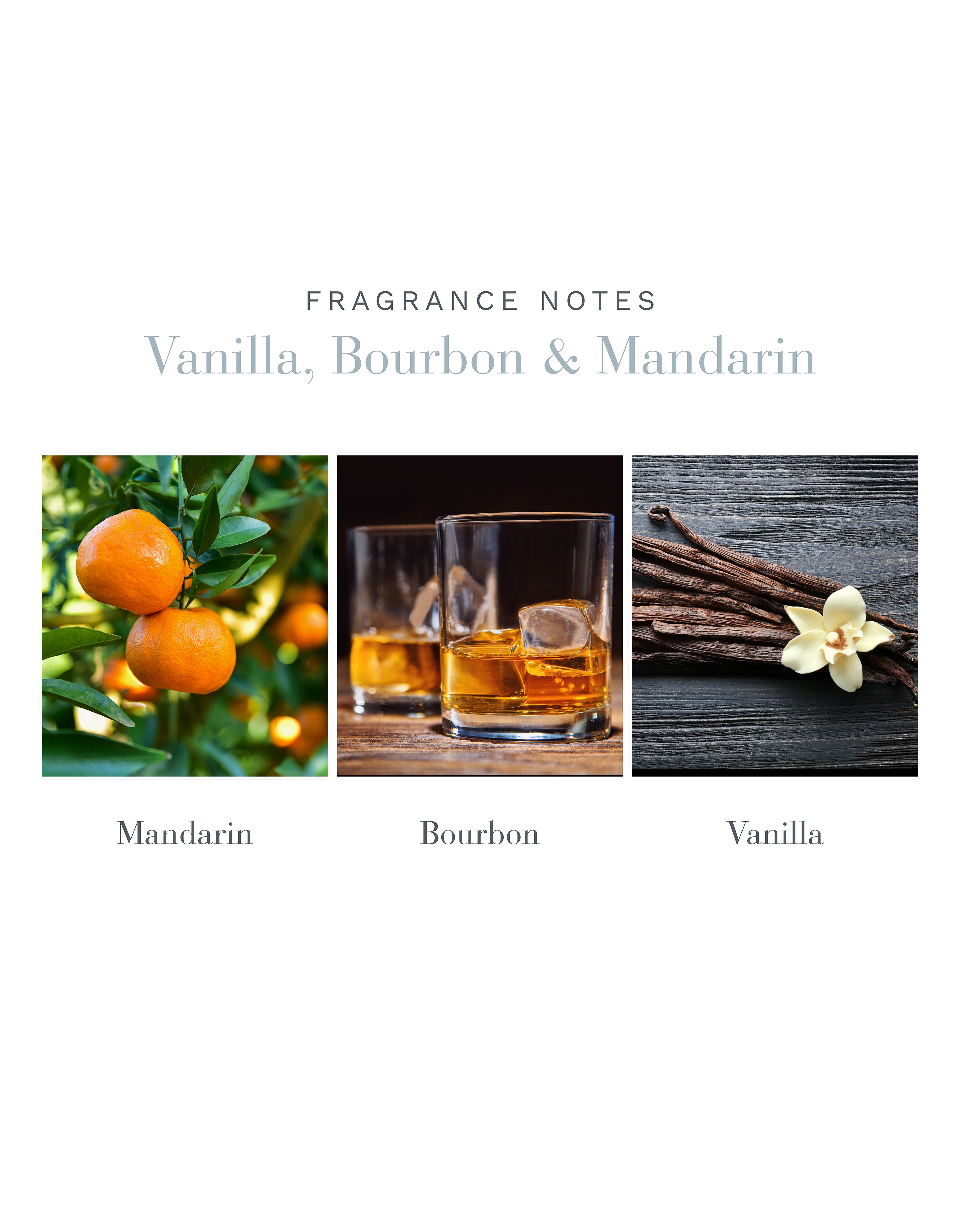 100ml Vanilla Bourbon Reed Diffuser