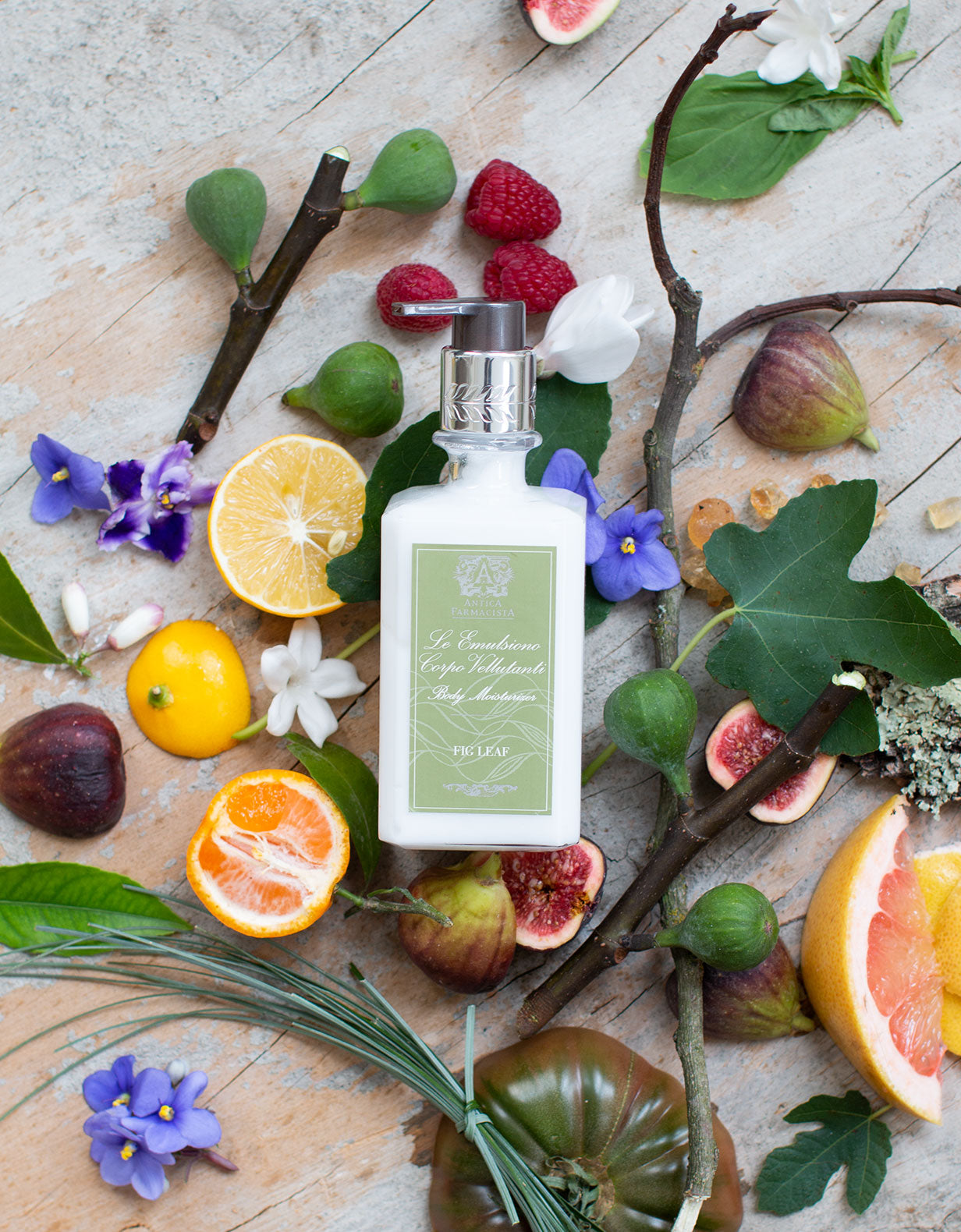 Fig Leaf Body Moisturizer