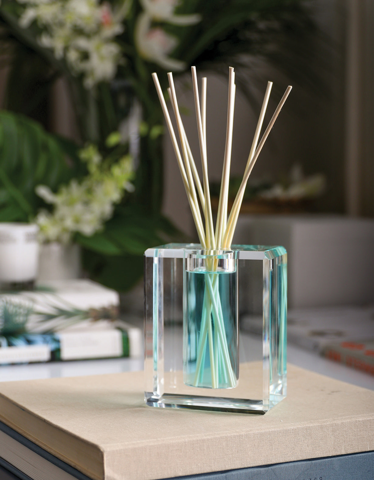 Acqua Crystal Diffuser