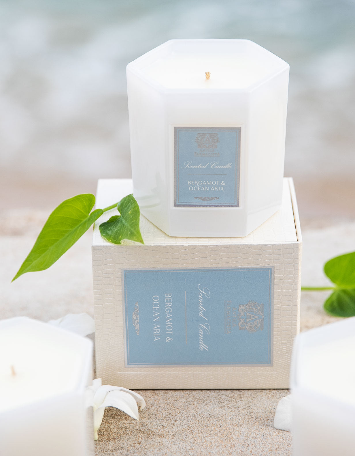 Bergamot & Ocean Aria Candle