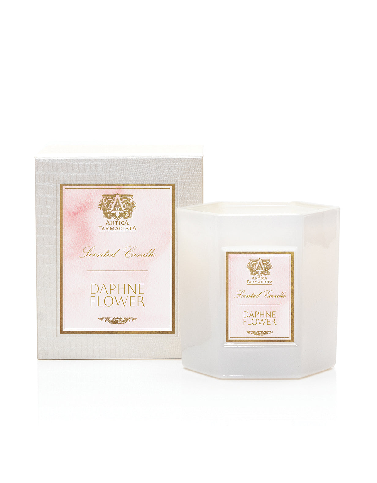 Daphne Flower Candle