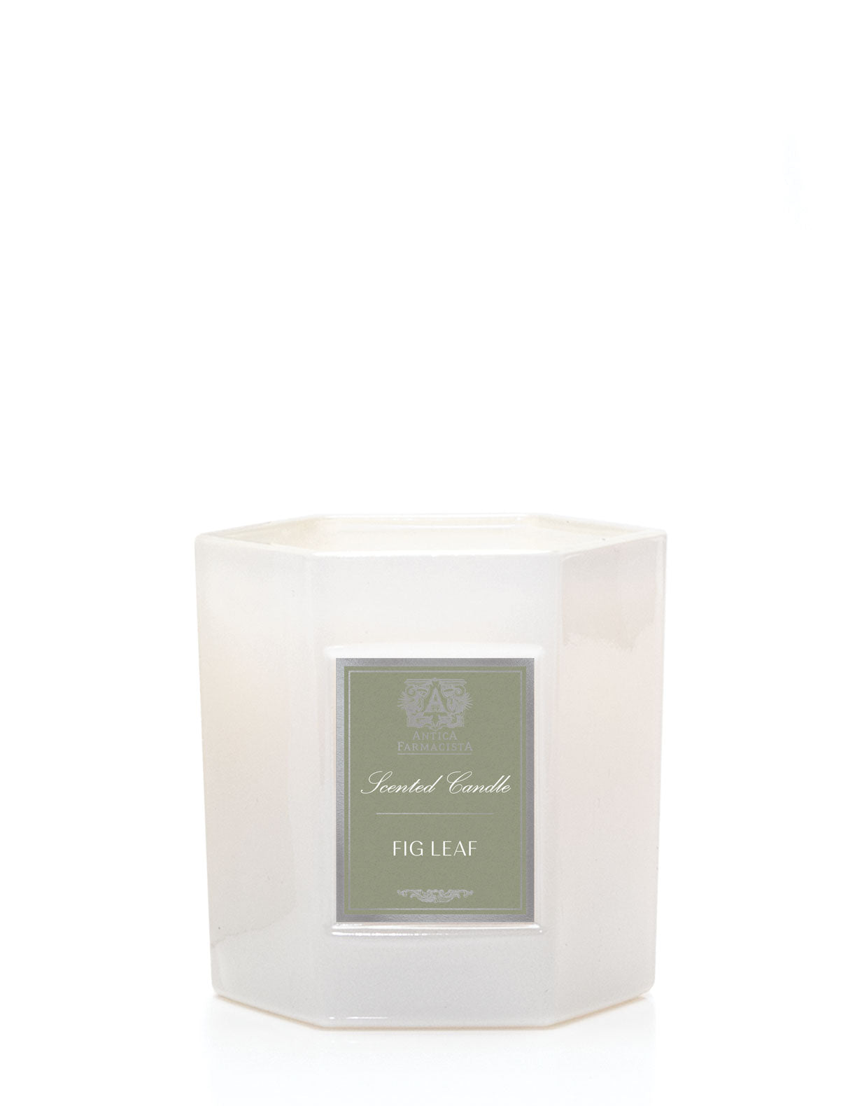 Fig Leaf Candle