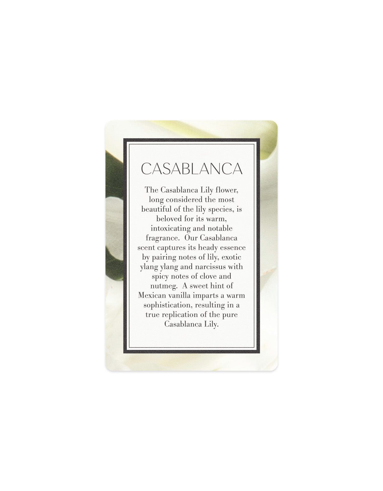 Scented Card - Casablanca