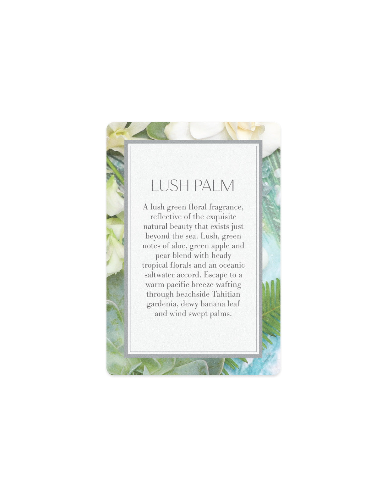 Scented Card - Lush Palm