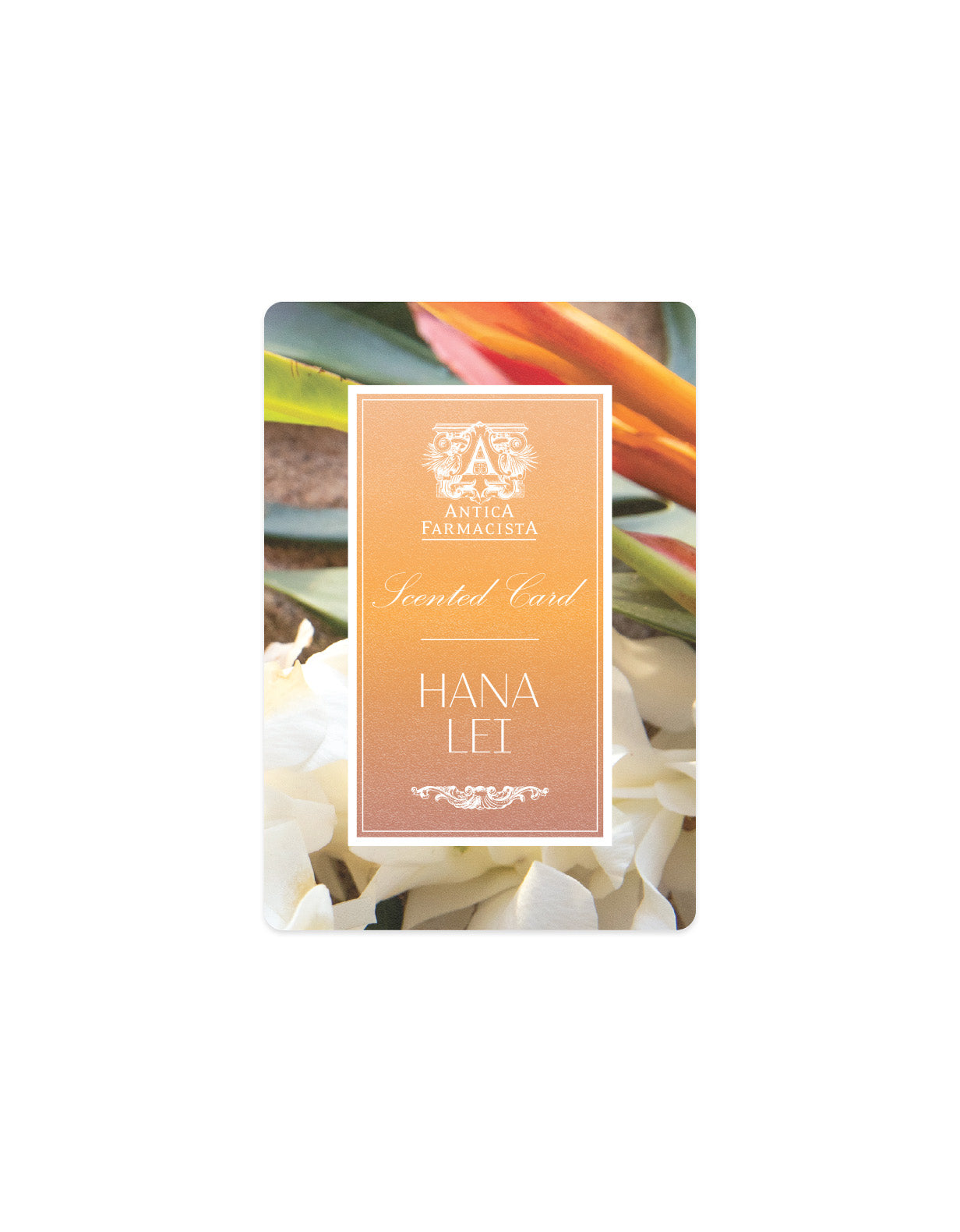 Scented Card - Hana Lei