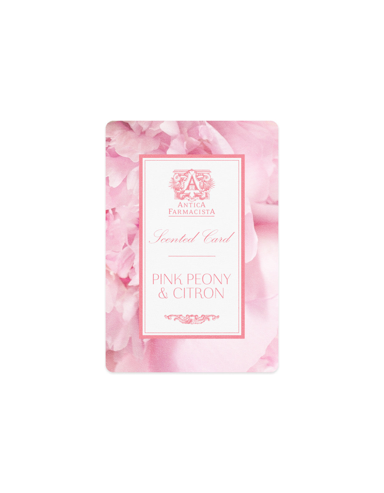 Scented Card - Pink Peony & Citron