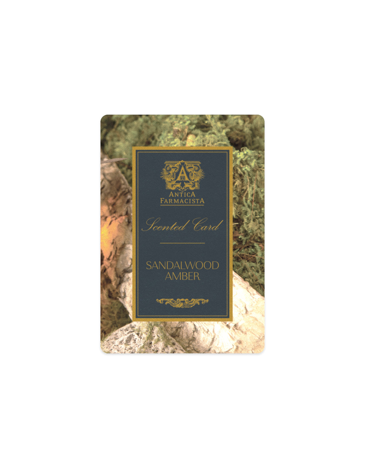 Scented Card - Sandalwood Amber