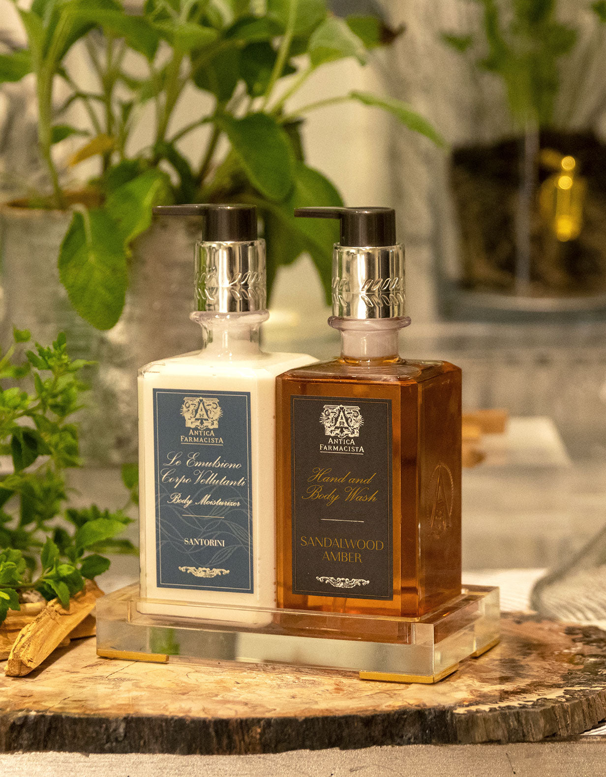 Sandalwood Amber Hand & Body Wash